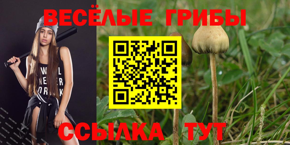 Смоленск  Псилоцибиновые грибы прущие грибы  Вход с VPN 