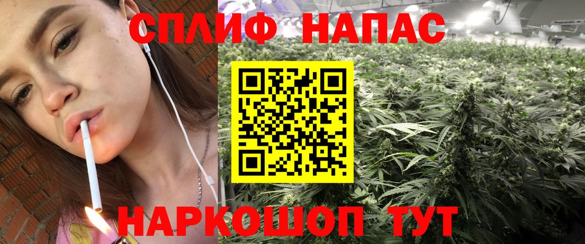Конопля гибрид Смоленск